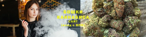 стаф Мурманск