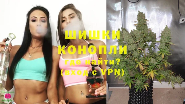 ECSTASY Ладушкин