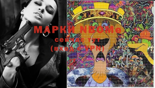 ECSTASY Ладушкин